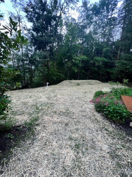septic-service_IMG_6576_2025-02-28_115104.jpeg - Thumb Gallery Image of Septic