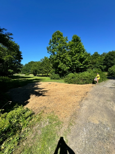 septic-service_IMG_9201_2025-02-28_115026.jpeg - Thumb Gallery Image of Septic